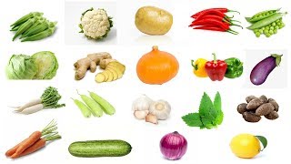 Learn Vegetable Names with Pictures for Children Kids in English | Navya Kid Tv