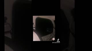Creature caught looking in window