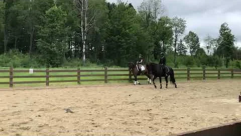 Lesson with Diane Creech 2019