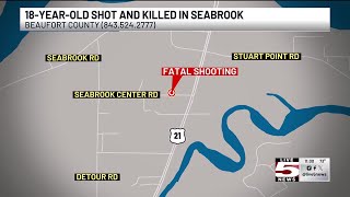 VIDEO: Deputies investigating after 18-year-old killed in Beaufort County shooting