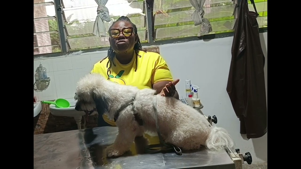 Deworming Your Animals the RIGHT Way | Boost Health & Productivity