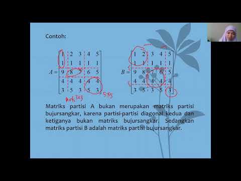 Video: Apa partisi dalam matematika?