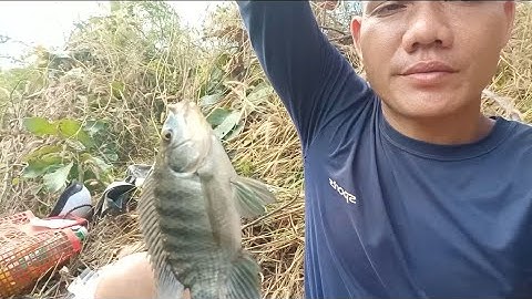 Lâu rồi quay lại điểm câu cũ nước rút rất nhiều.cá ăn mạnh 