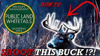 How To Find Bucks On Public Land | Number One Big Buck Hunting Tips |  Kill More Bucks