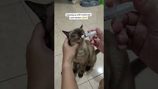WERMOX 15ML for Cats & Dogs | Pet Deworming Care