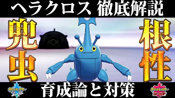 ヘラクロス ヘラクロス