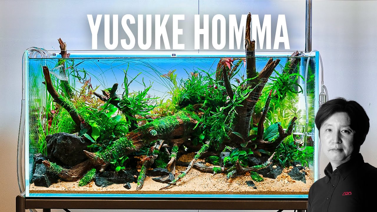 Nature Aquarium Workshop by Takashi Amano's best Student!