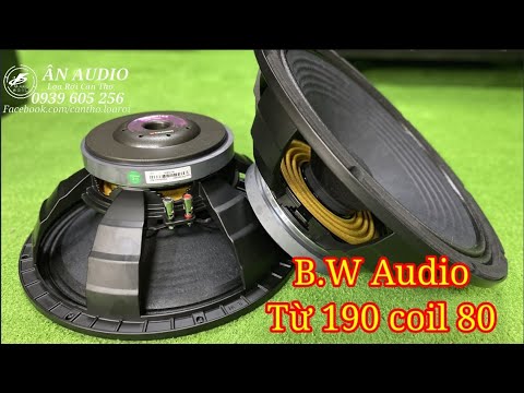Video Loa rời, B.W AUDIO 4 tất từ 190 coil 80 Hàng nhập khẩu... - youtube