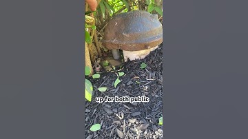 The Utility Check That Saves Money