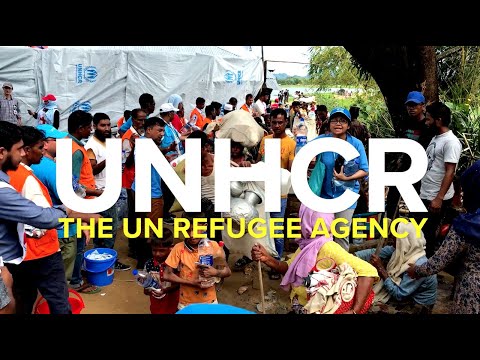 Video: Mapování Důkazů O Farmakologických Intervencích Pro Neafektivní Psychózu V Humanitárních Nespecializovaných Prostředích: Klinické Vedení UNHCR