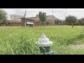 Many Houston ISD campuses overrun with tall grass