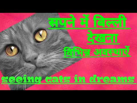 Sapne Me Billi Dekhna.Seeing Cats In Dreams.