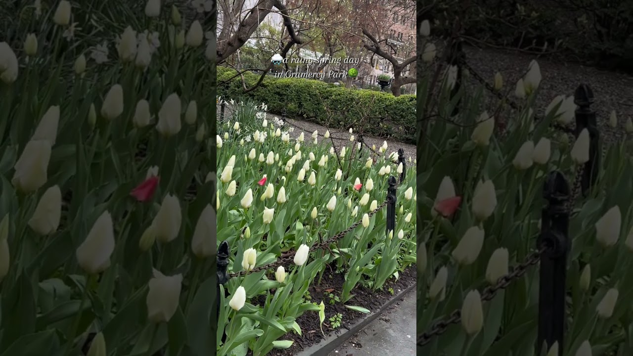 A rainy spring day in Gramercy Park NYC 