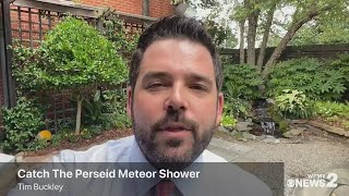 Perseid Meteor Shower