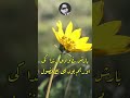 Urdu Poetry Poetry Status Heart Touching Poetry By Aseem Ahmed Abbasee Shorts Youtubeshorts Urdu Poetry Poetry Status Heart Touching Poetry By Aseem Ahmed Abbasee Shorts Youtubeshorts