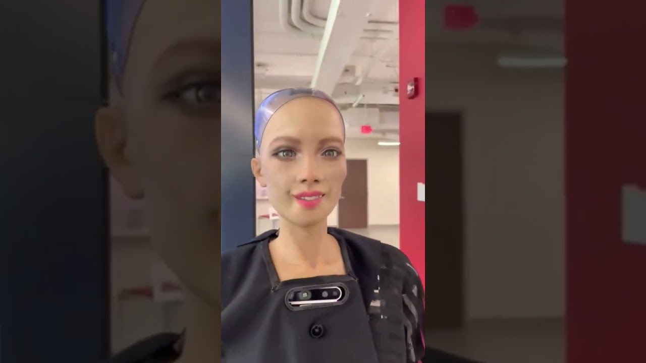 Megan, uma Boneca humanoide com IA avançada, mas já viu os humanoides reais?  