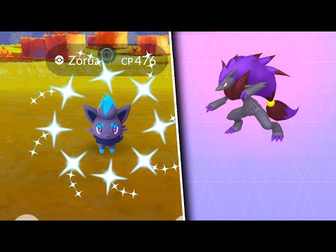 ✨Shiny Mega Pokémon Encounters!✨ Had a bit of fun with the Zorua spawns  this weekend. I love how the mechanics of it works and I look…