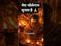 थाम लो मेरा हाथ भोलेनाथ… 🙏🥺 | Mahadev Status