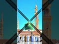 madina nabi ka || lage baag e zannat | madina Sharif 4k whatsapp status video #you_tube_short