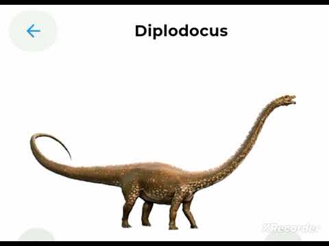 Diplodocus Sound Effect Dinosaurs Vs Humans