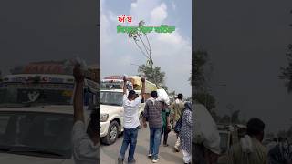 Kisan mele te amb da 10 ft da boota #farming #mango  #mangotree  #yt #shorts