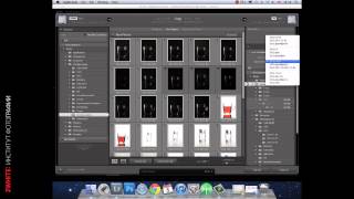 Видео-курс «Основы обработки в Lightroom» Видео-курс «Основы обработки в Lightroom»