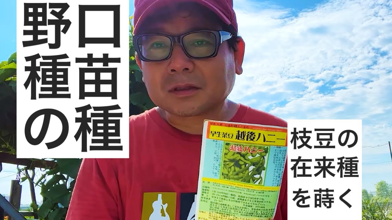 野口種苗の枝豆の種を蒔きます。 - YouTube