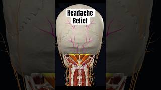 Fix Your Headache in 2 Minutes (Most People Miss This) #headache #neckpainrelief