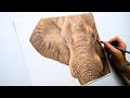 A heartbreaking story that lead me to drawing this elephant | Colored Pencil Drawings