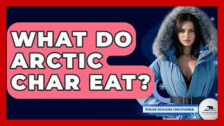 What Do Arctic Char Eat? - Polar Regions Uncovered