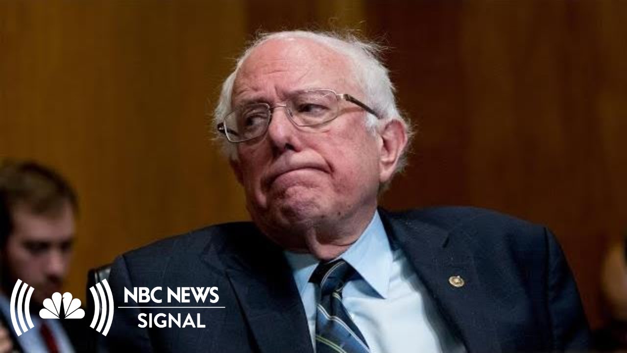 Does Bernie Sanders Have A Shot? | NBC News Signal - YouTube