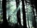 Barish Ki woh Shaam by Shoma Banerjee Whatsapp Status Video Download Free
