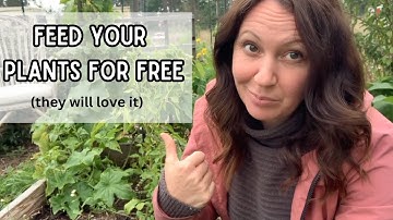 This one thing will improve soil fertility and boost plant growth