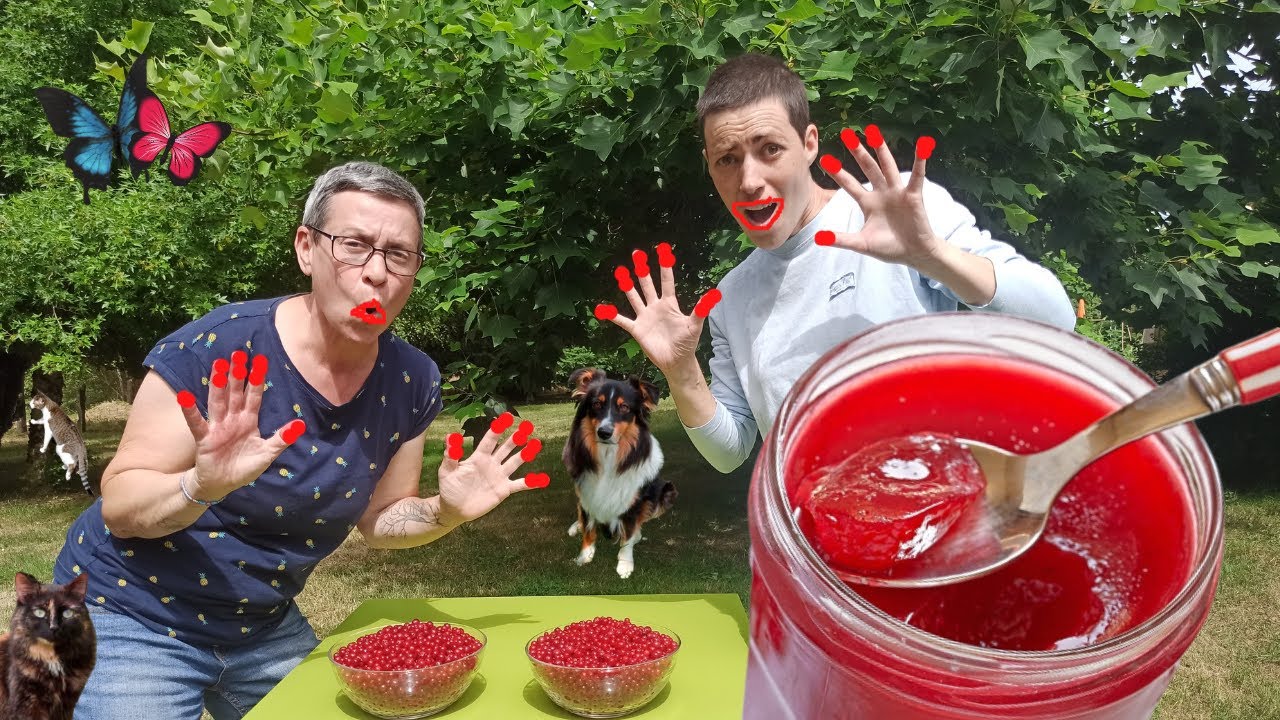 🌺 СМОРОДИНА ЯГОДНАЯ ⎮ВАРЕНЬЕ ИЗ СМОРОДИНЫ 🌺