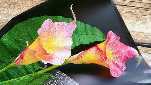 ABC TV | How To Make Calla Lily Paper Bouquet Flower From Crepe Paper #1 - Craft Tutorial