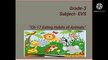 Ch 17 Eating Habits of Animals Gr.3
