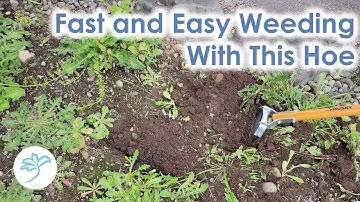 Weeding Made Quick and Easy with This Tool - The Action Hoe