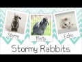 Beginning of video