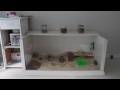 End of video