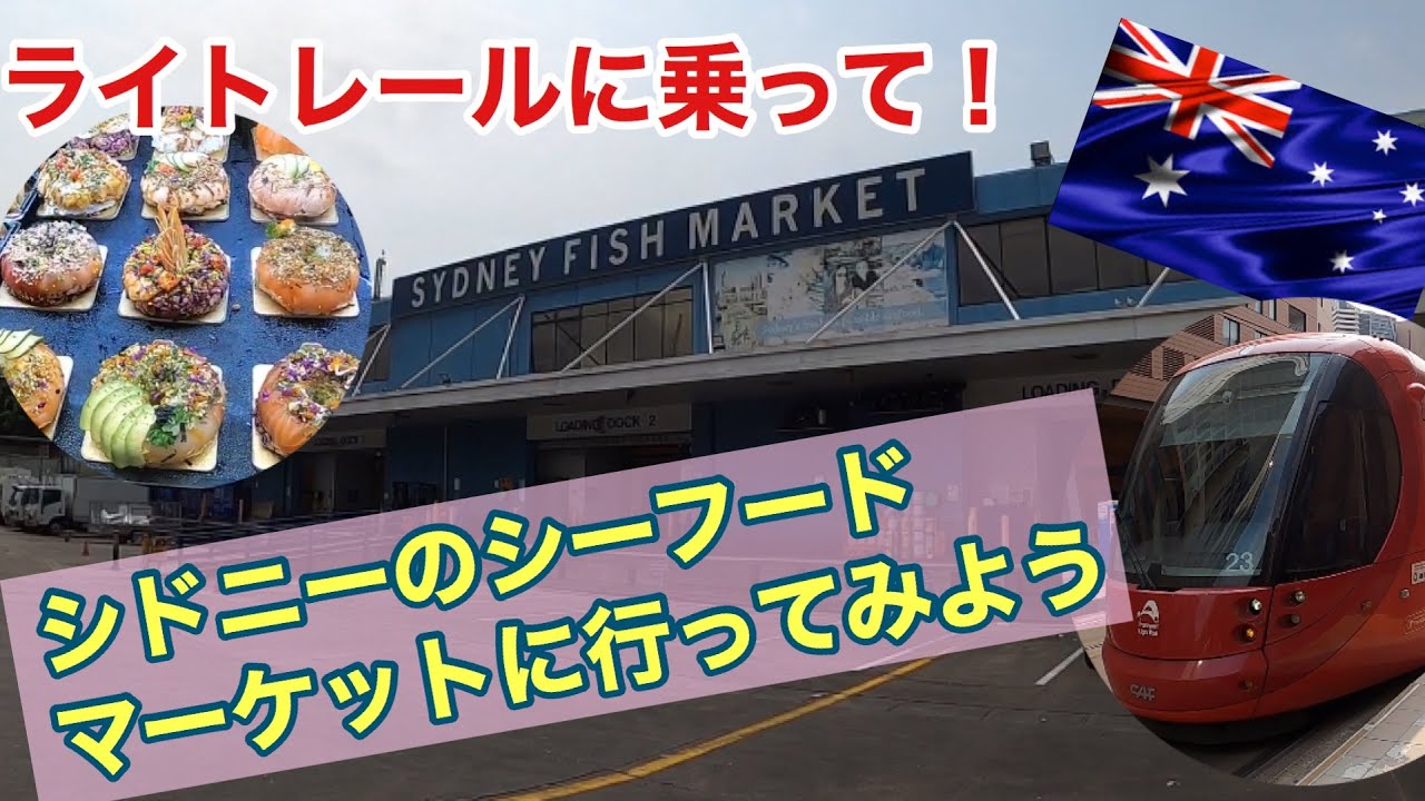 【シドニー旅】ライトレールに乗ってフィッシュマーケットに行ってみよう！　第58ページ　「SYDNEY FISH MARKET」　AUSTRALIA SYDNEY CHANNEL