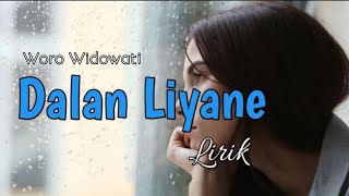 Dalan Liyane (Hendra Kumbara) Cover Woro Widowati | Lirik Video