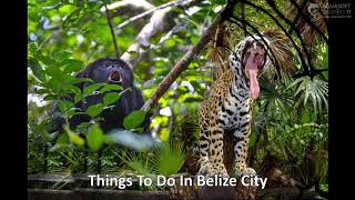 Things To Do In Belize City | $100.00 | Free Things To Do In Belize City, Belize Cruise Port