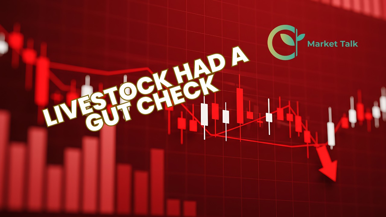 Livestock Digests Screwworm News While Grains Saw Flatline Trade | 6/5/26 Market Talk