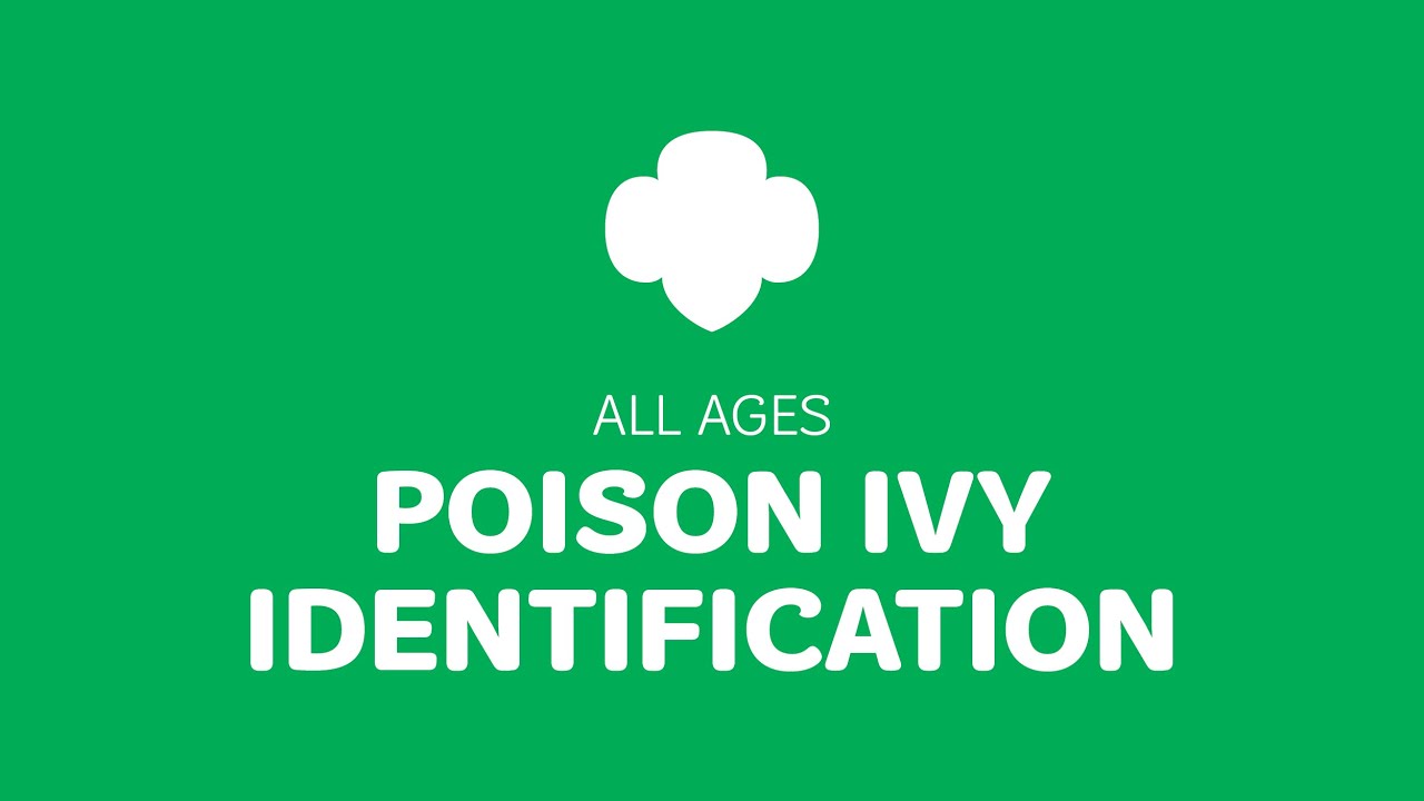 Girl Scout Traditions: Poison Ivy Recognition - YouTube