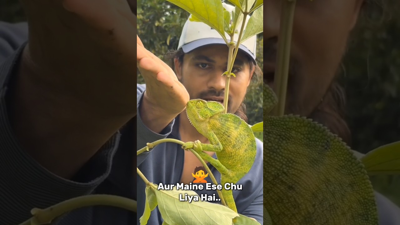 When video reach wrong audience | Instagram funny comments 