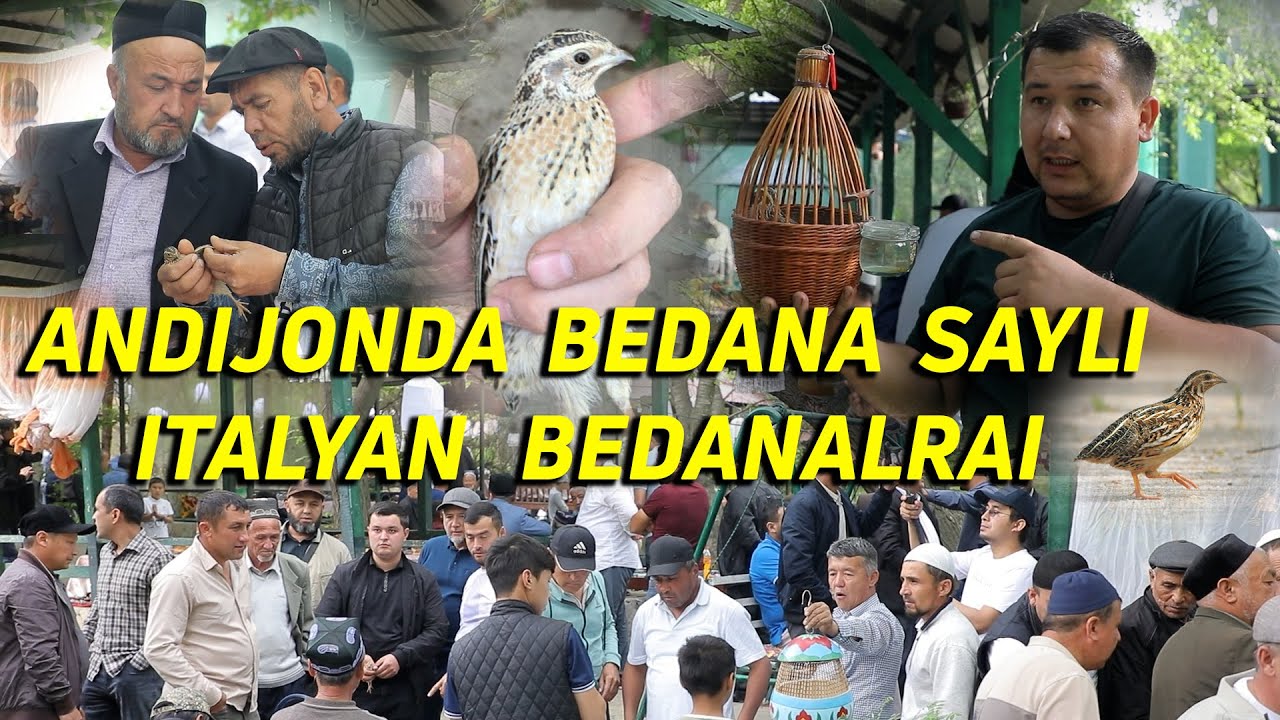 Bedana sayli 2024 Andijonda bedana saylida eng zo'r bedanalar sotildi