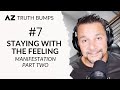 Truth bump 7  staying with the feeling  amir zoghi