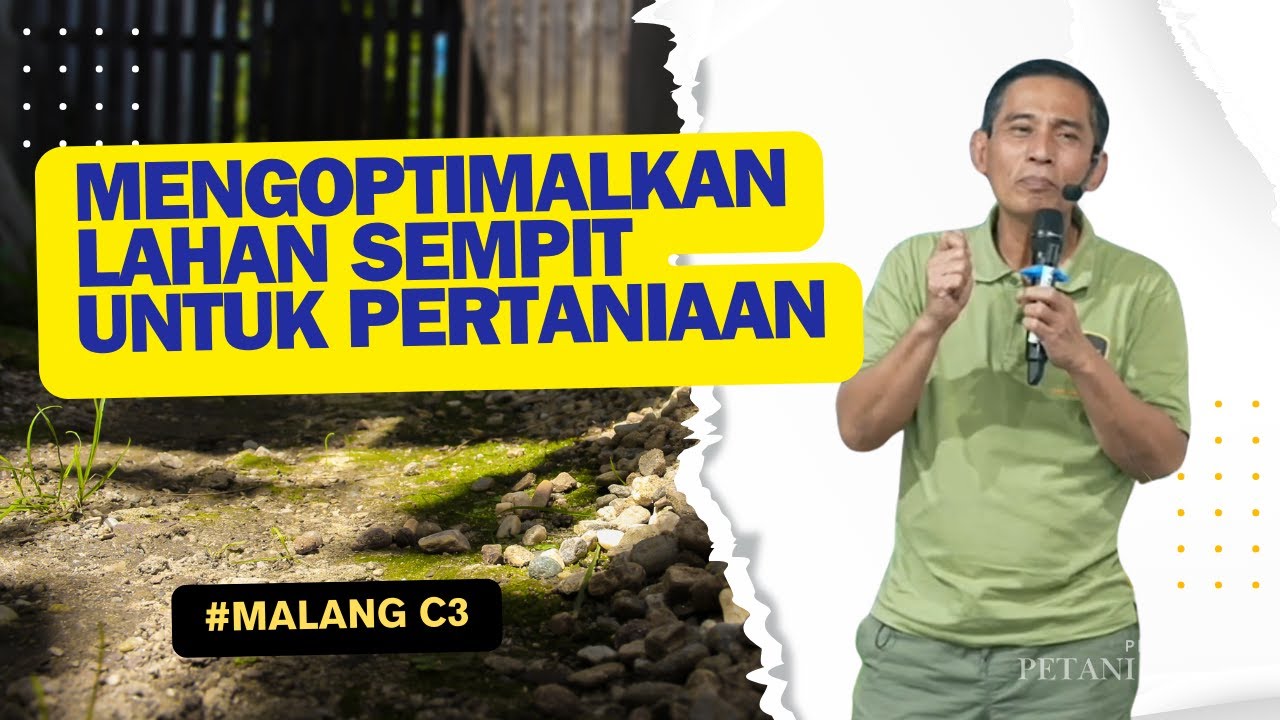 #bayudiningrat Mengoptimalkan Lahan Sempit Untuk Pertaniaan #bayudiningrat #petanitemansejati