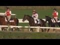 Race 2 - EGA Al Taweelah Trophy