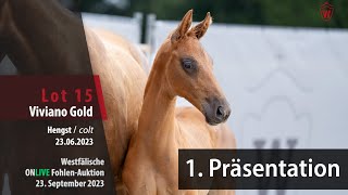 Viviano Gold by Va Bene / Fürst Magic | HORSE24